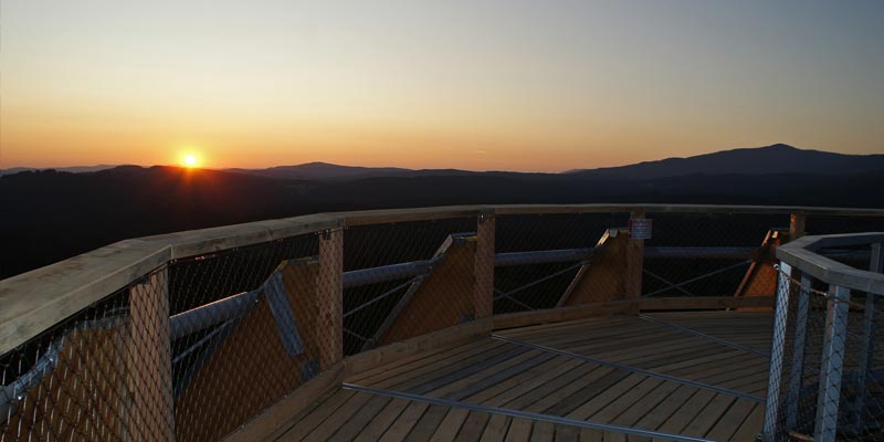 Baumwipfelpfad Neuschönau