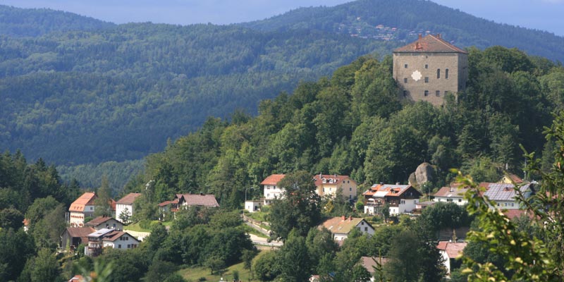 Blick auf die Saldenburg