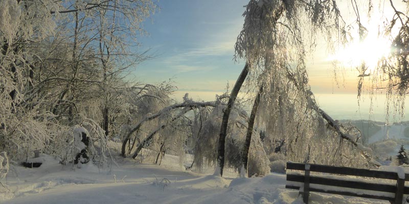 Gemeinde Schöfweg im Winter