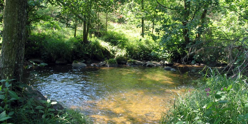Mitternacher Ohe in der Gemeinde Schönberg