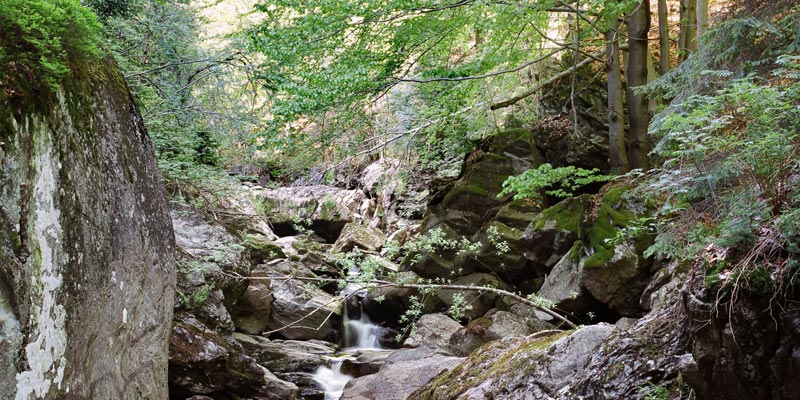 Wildromantischer Steinklamm Spiegelau