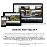 Website von Woidlife Photography auf Laptop, Tablet und Smartphone angezeigt.