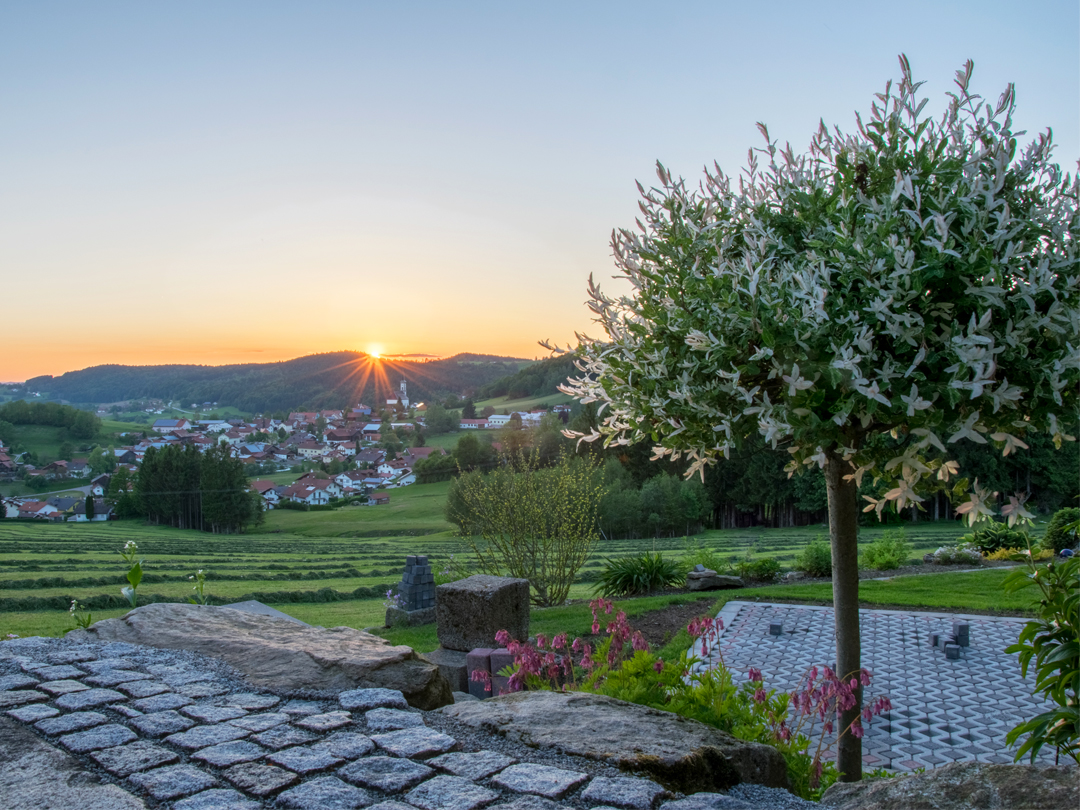Ein blühender Baum mit Sonnenuntergang über einer ländlichen Landschaft mit Hügeln und Dörfern.