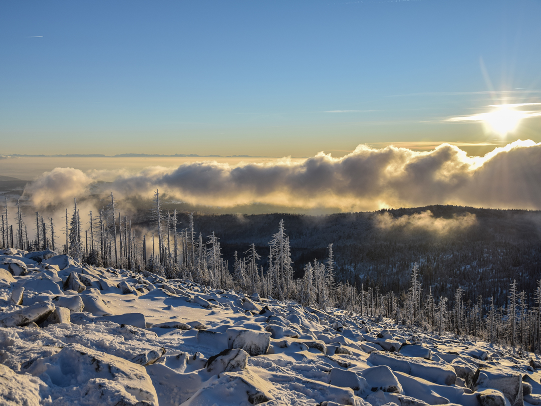 Schneebedeckte Landschaft mit kahlen Bäumen und Wolken im Hintergrund bei Sonnenaufgang.