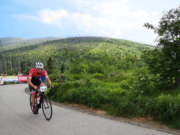 Ein Radfahrer in einem roten Trikot fährt auf einer kurvigen Straße in einer bewaldeten Landschaft.