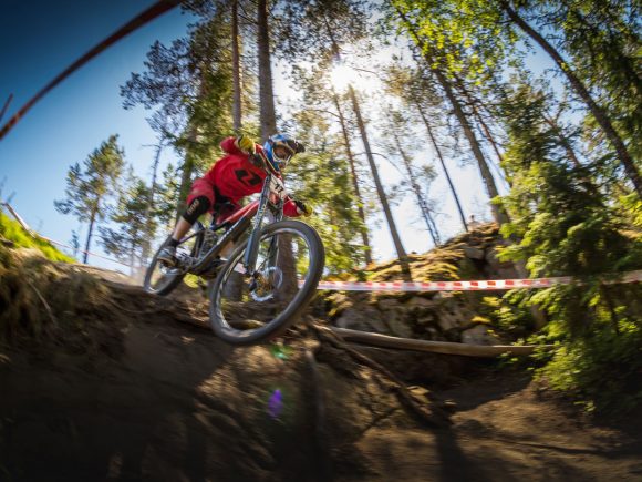 Mountainbiker in rotem Trikot fährt über einen Sprung im Wald mit Bäumen im Hintergrund.