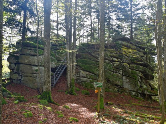 Großer, moosbedeckter Felsen im Wald mit einer Treppe und einem Wegweiser.