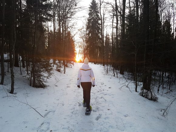 Eine Person in einem weißen Oberteil wandert mit Schneeschuhen durch einen verschneiten Wald bei Sonnenuntergang.