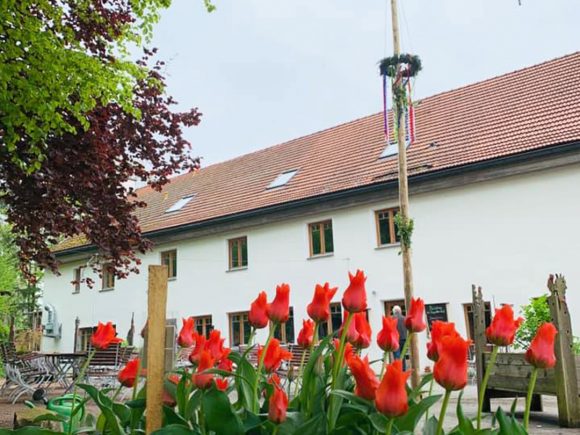 Ein Gebäude mit roten Tulpen im Vordergrund und einem Maibaum auf dem Gelände.
