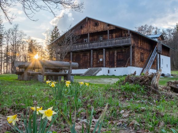 Ein großes Holzhaus mit einem Balkon und einer Wiese mit blühenden Narzissen im Vordergrund.