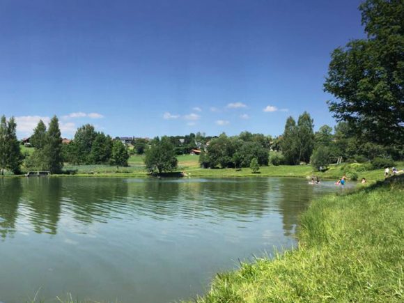 Ein ruhiger Badesee mit klaren Wasser und umgebenden Bäumen in Neuschönau.