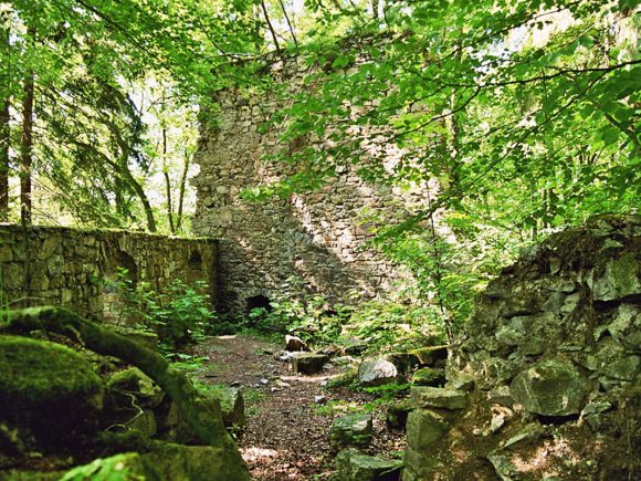 Überreste einer alten Steinmauer, umgeben von Bäumen und Pflanzen im Wald.