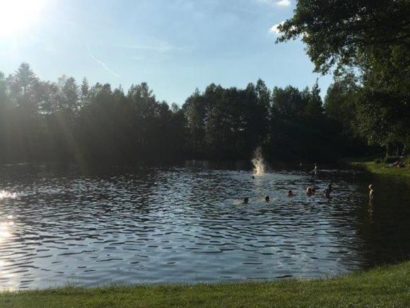 Personen schwimmen im Hohenauer Weiher, umgeben von Bäumen und Wasseroberfläche.