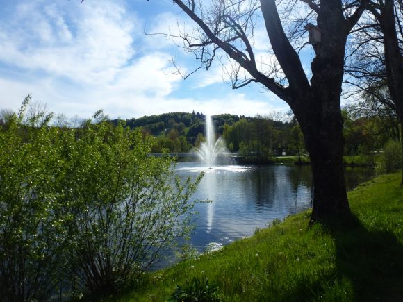 Ein Wasserbrunnen sprudelt in einem Teich im Kurpark Grafenau, umgeben von Bäumen und Sträuchern.