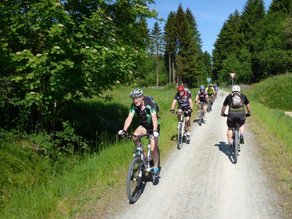 Sechs Radfahrer fahren auf einem Schotterweg durch eine grüne Landschaft mit Bäumen.