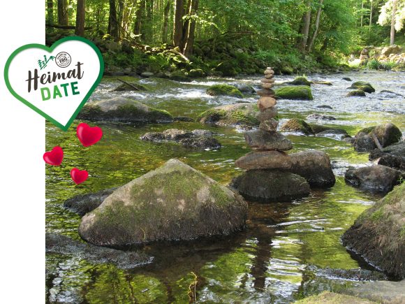 Steinmännchen aus mehreren Steinen, die auf einem Flussufer in einem Wald platziert sind.