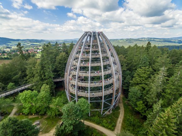 Baumwipfelpfad mit einer spiralförmigen Aussichtsplattform in einem Waldgebiet.