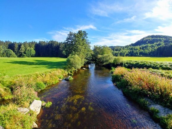 Ein ruhiger Fluss fließt durch eine grüne Landschaft mit Bäumen und Wiesen.