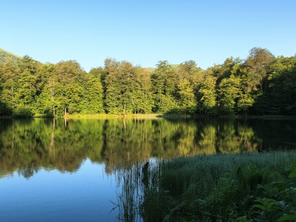 Ruhiger Stausee mit klar reflektierendem Wasser und umgebenden Bäumen.