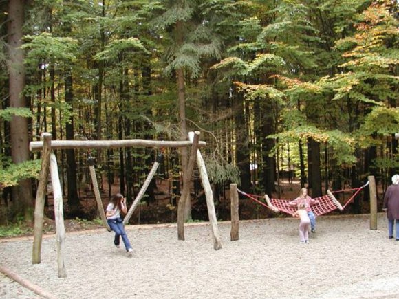 Spielplatz im Wald mit Holzschaukeln und einem großen Netz zum Spielen.