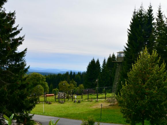 Aussichtsturm aus Holz in einem Waldgebiet mit Bäumen und einem klaren Himmel.