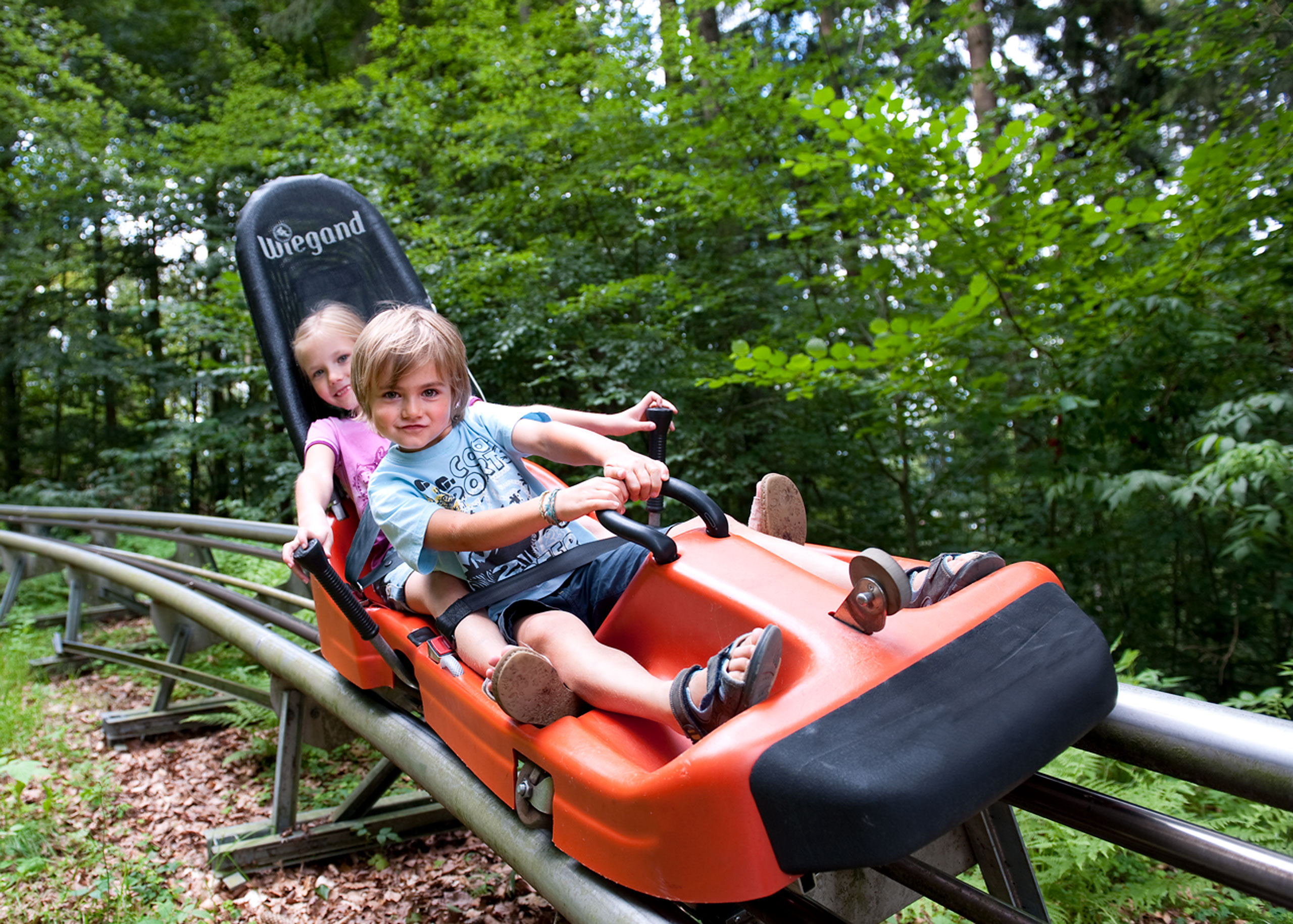 Zwei Kinder fahren auf einer roten Sommerrodelbahn durch einen Wald.