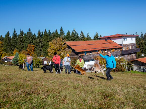 Haus Waldeck