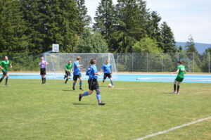 Spieler in blauen und grünen Trikots, die auf einem Fußballfeld spielen.