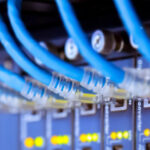 Nahaufnahme von blauen Netzwerkkabeln, die an einen Netzwerk-Switch angeschlossen sind.