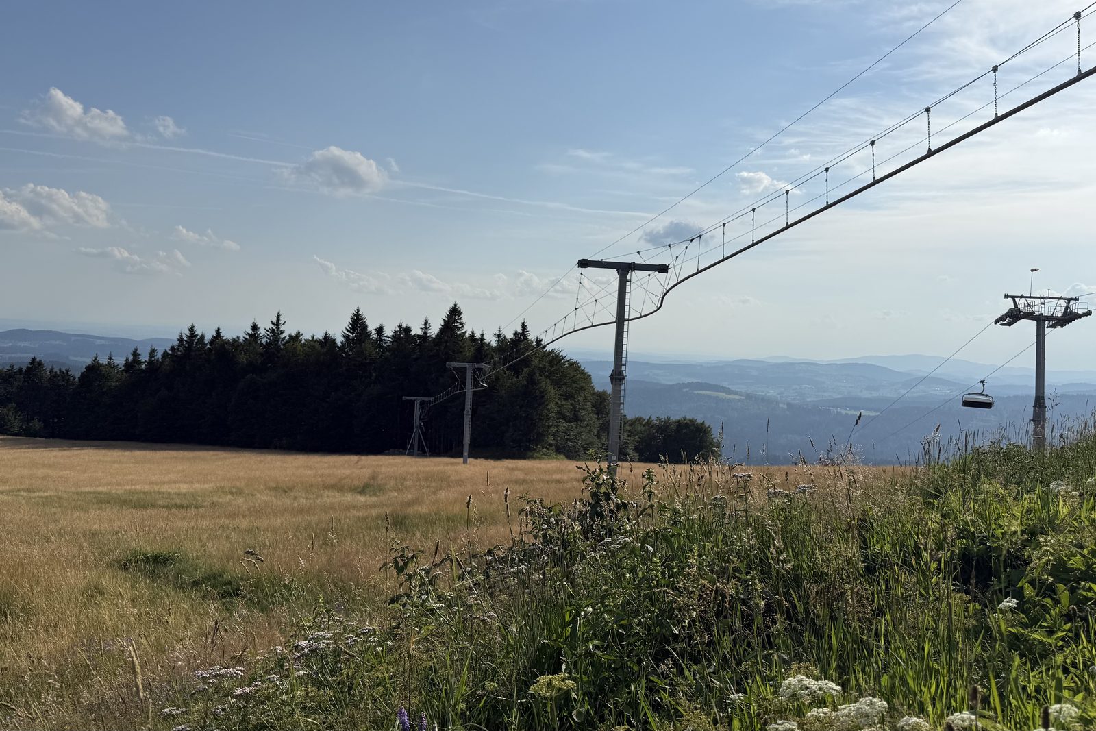 Am Almberg verläuft die Flyline über eine sommerliche Bergwiese; dahinter erstrecken sich die bewaldeten Höhen des Bayerischen Waldes.