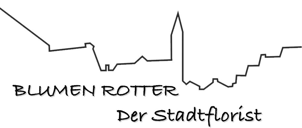 Die schlichte Wortmarke „Blumen Rotter“ steht über dem Untertitel „Der Stadtflorist“ und kennzeichnet den Blumenfachbetrieb.